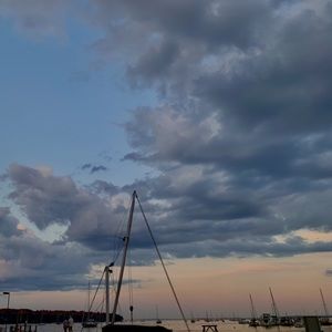 Meet your Posher, Gracie